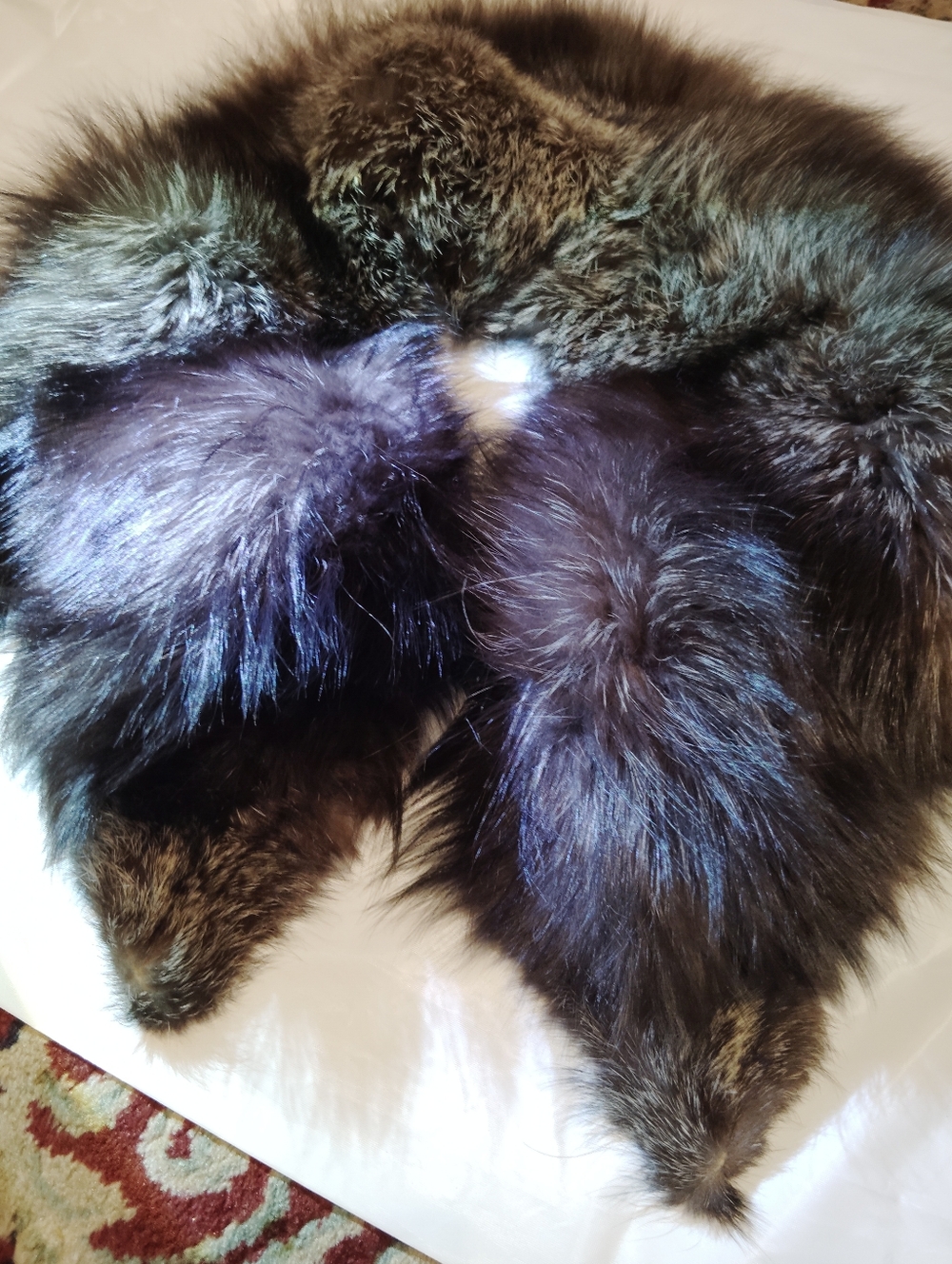 Silver Fox Collar